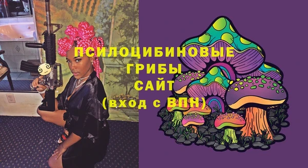 круглые Арсеньев