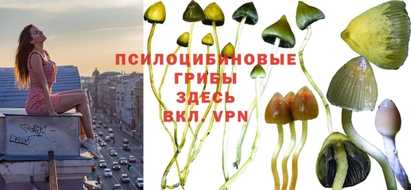 альфа пвп Армянск