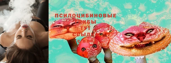 дживик Алексин