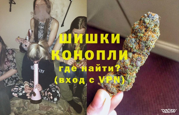 дживик Алексин