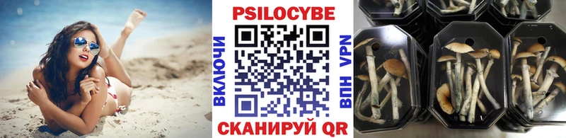 Галлюциногенные грибы GOLDEN TEACHER  где продают наркотики  Бавлы 